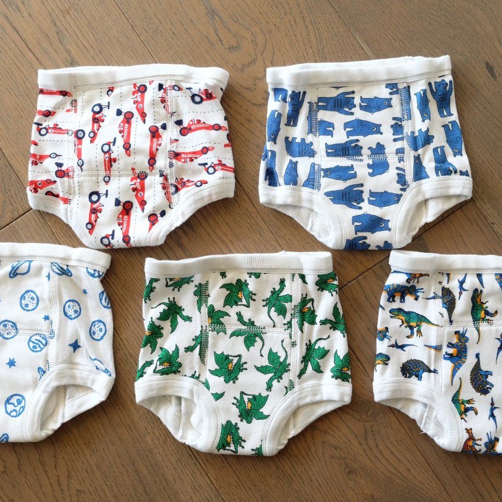 Hanna Andersson Training Underwear In Organic Cotton 5-Pack